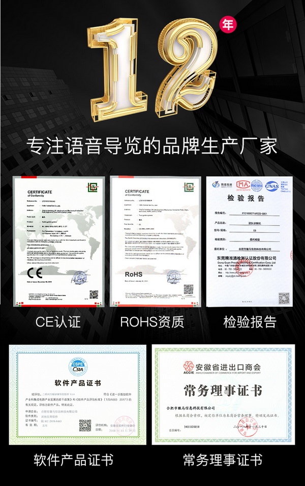 團隊語音講解系統(tǒng)