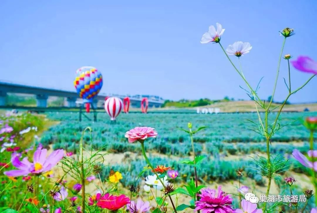 語音導覽系統(tǒng)